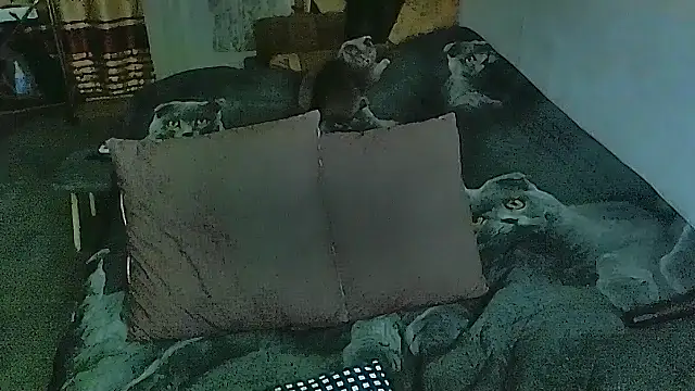 sex2 online show from October 30, 2025, 7:00 pm