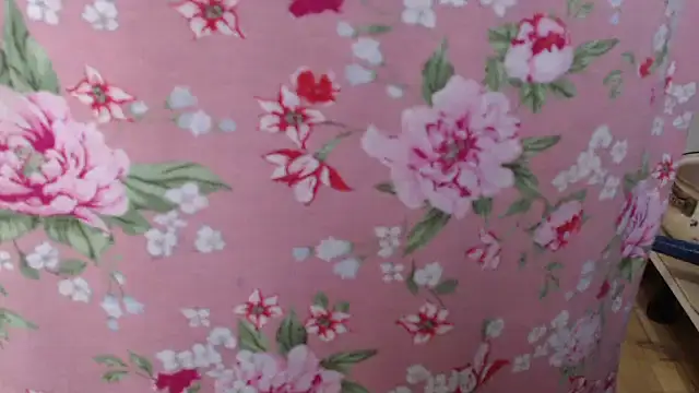 Anabelldestiny online show from November 19, 2025, 6:46 am