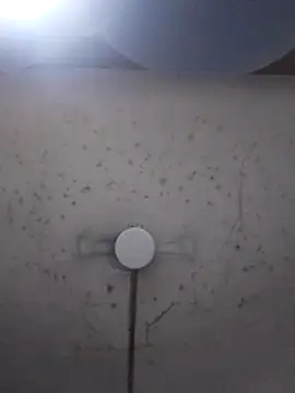 marie12345679 online show from February 26, 2026, 1:16 am