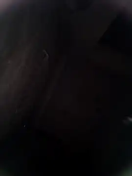 Pitercom online show from February 8, 2026, 12:52 am