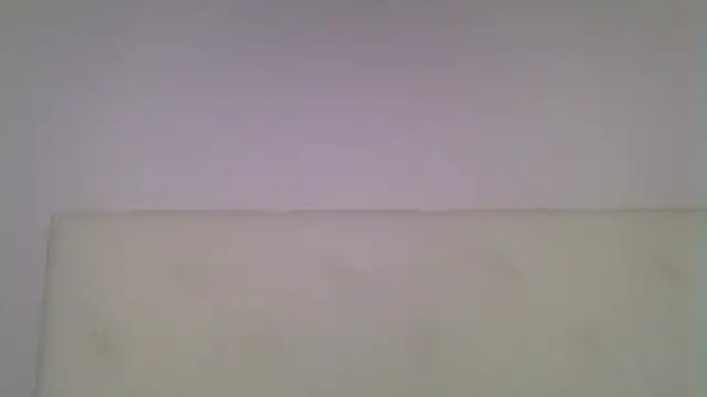 EvaaMina online show from November 18, 2025, 10:29 am