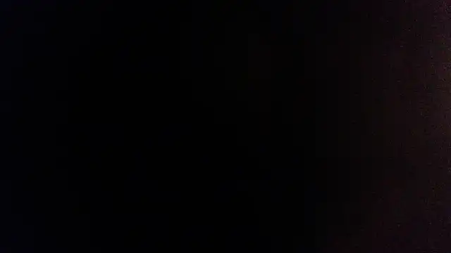 palidin1 online show from December 5, 2025, 6:23 am