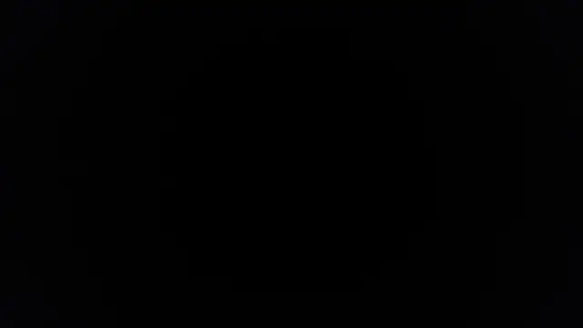 palidin1 online show from November 25, 2025, 10:37 am