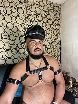 the master foal  online show from March 31, 2026, 8:49 am