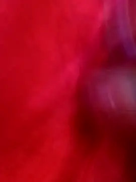 neha-bhabhi online show from October 15, 2025, 4:00 am