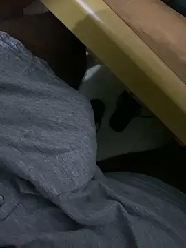 Snapshot of MALEHYPER chatting on October 4, 2025, 6:31 pm MALEHYPER online show from October 4, 2025, 6:31 pm