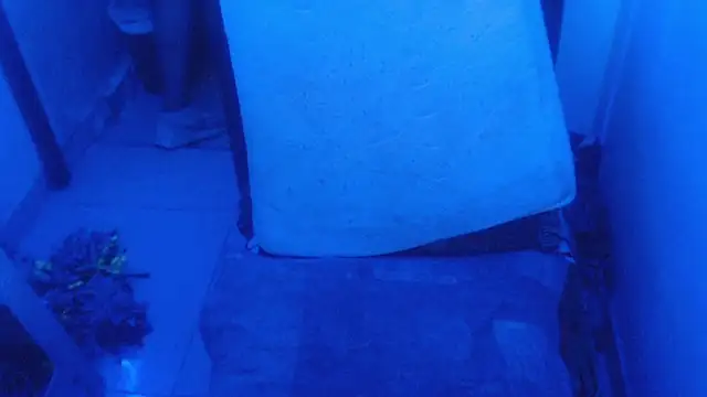 Snapshot of selenax2023 chatting on February 2, 2026, 11:04 pm selenax2023 online show from February 2, 2026, 11:04 pm