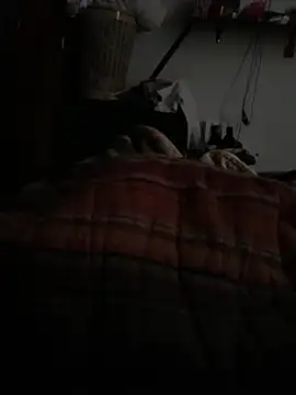 Snapshot of simonovic chatting on February 24, 2026, 3:46 pm simonovic online show from February 24, 2026, 3:46 pm