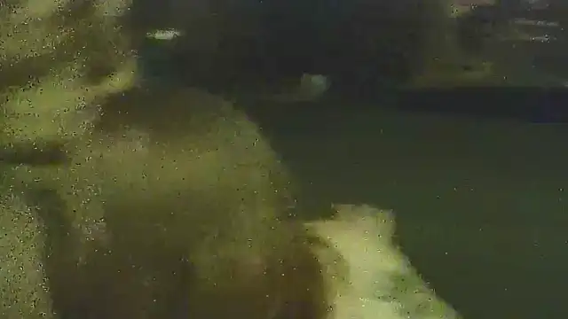 Profbadass69 online show from March 27, 2026, 2:42 am