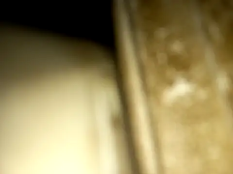 Snapshot of jonjob44 chatting on December 14, 2025, 1:12 am jonjob44 online show from December 14, 2025, 1:12 am