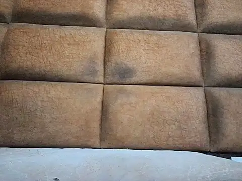 Aroused Tenancy online show from December 6, 2024, 9:07 pm