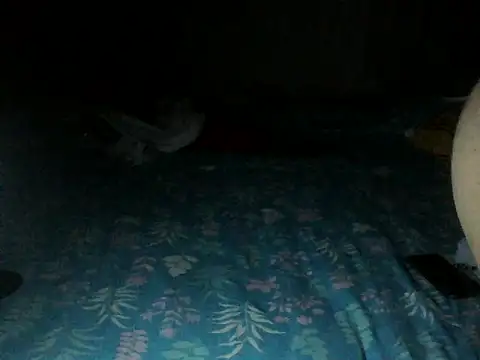 Sexyrkv91 online show from December 13, 2025, 8:04 pm