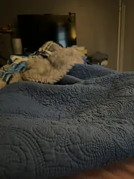 DAJ4002 online show from January 17, 2026, 1:26 pm