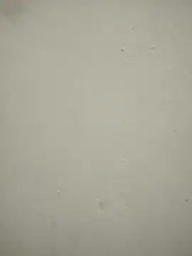 Snapshot of blackjack- chatting on November 22, 2025, 12:37 pm blackjack- online show from November 22, 2025, 12:37 pm