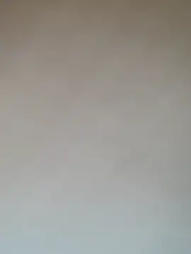 Snapshot of poissinet2 chatting on April 9, 2026, 8:09 am poissinet2 online show from April 9, 2026, 8:09 am