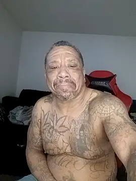 Snapshot of yellowwetfox chatting on February 25, 2026, 2:17 pm yellowwetfox online show from February 25, 2026, 2:17 pm