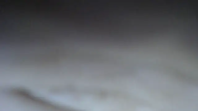 swt shadow online show from March 15, 2026, 8:38 pm