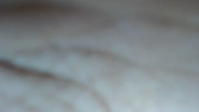 swt shadow online show from March 5, 2026, 6:59 pm