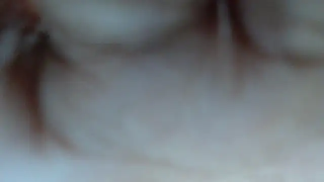 swt shadow online show from March 12, 2026, 6:56 pm