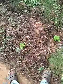 Gopal1243 online show from January 15, 2025, 2:27 am