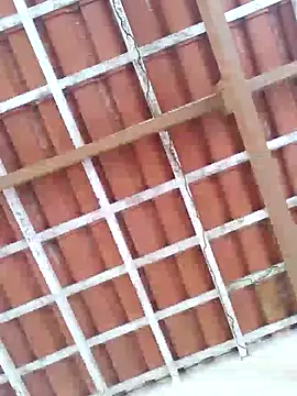 Peludo173317 online show from March 11, 2025, 5:02 pm