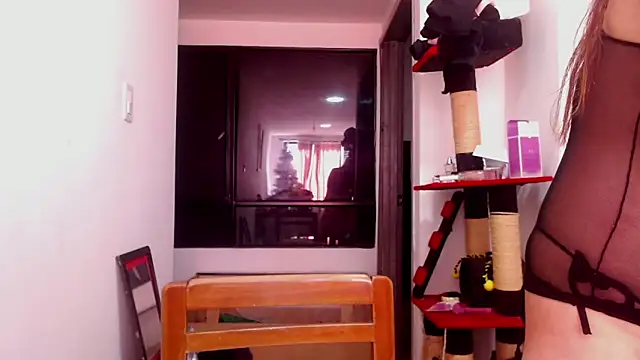 karinasodi 1 online show from December 3, 2025, 8:08 pm