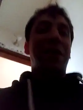 White rabbit  online show from March 2, 2025, 2:47 pm