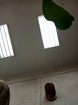 Office Albertina online show from January 18, 2026, 10:13 pm