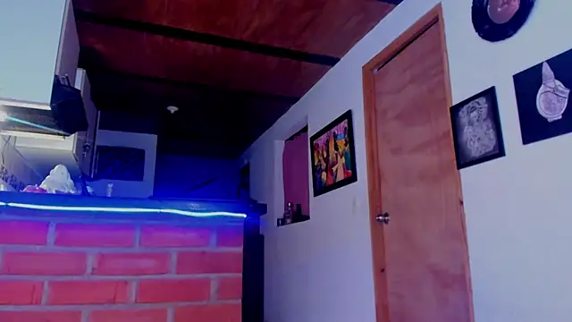 ink demonxxx online show from November 17, 2025, 4:49 am