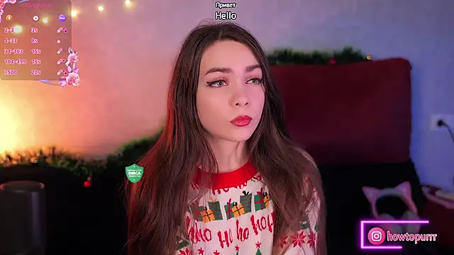 Snapshot of How2Meow chatting on December 2, 2024, 5:21 pm How2Meow online show from December 2, 2024, 5:21 pm