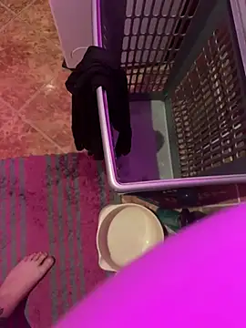 Snapshot of sissyboy-666- chatting on January 14, 2026, 5:11 am sissyboy-666- online show from January 14, 2026, 5:11 am