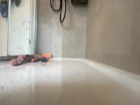 angelus112 online show from March 29, 2026, 3:57 pm