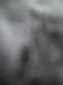 jammil casanova online show from March 8, 2025, 7:53 pm