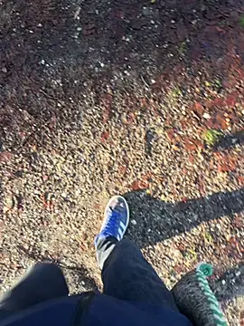 Snapshot of Mrbighardcock chatting on January 14, 2026, 10:19 am Mrbighardcock online show from January 14, 2026, 10:19 am