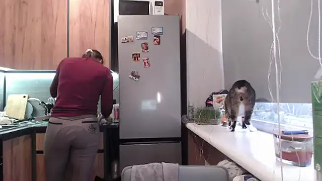 delightful sofi online show from March 24, 2026, 3:23 pm