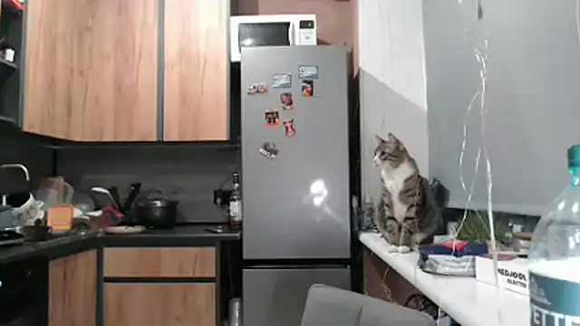 delightful sofi online show from March 21, 2026, 6:45 pm