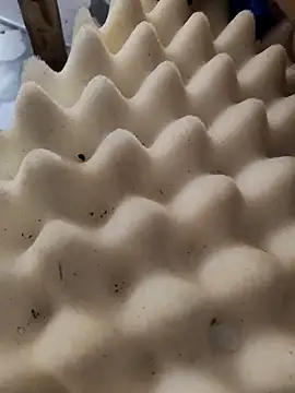 Leonelusxh online show from September 17, 2025, 5:15 pm