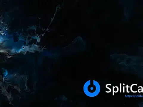 Elkafit28 online show from February 19, 2026, 8:22 am