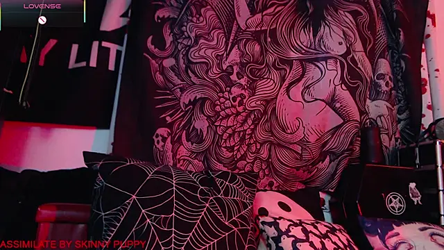 Snapshot of Silentmary chatting on January 17, 2026, 2:53 pm Silentmary online show from January 17, 2026, 2:53 pm