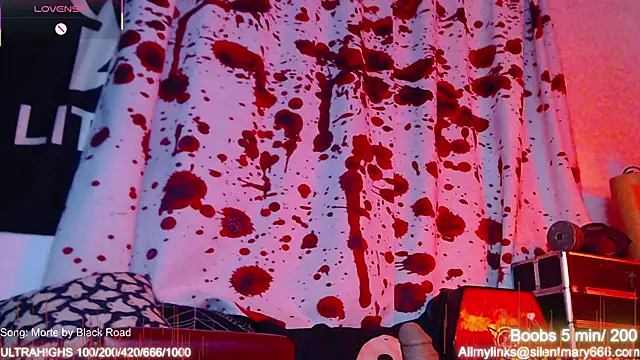 Silentmary online show from November 15, 2025, 2:04 am