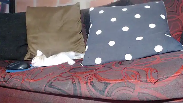 DevoraAmateur online show from February 22, 2026, 7:04 pm