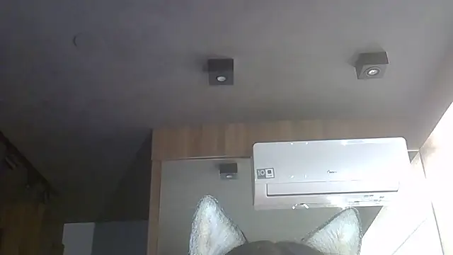 Skinny-Kitten online show from December 22, 2025, 1:06 am