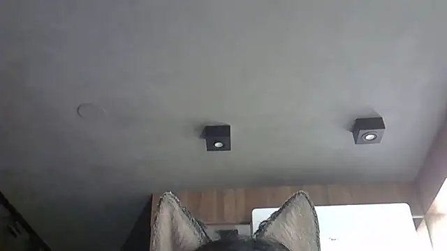 Skinny-Kitten online show from October 31, 2025, 9:32 pm