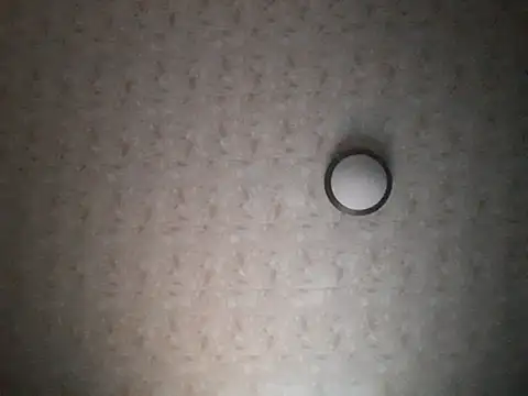 Stormward online show from November 30, 2025, 11:38 pm