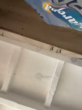 Snapshot of ari_sexy1 chatting on May 5, 2026, 8:34 pm ari sexy1 online show from May 5, 2026, 8:34 pm