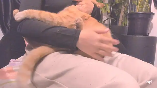 MYFAVOURITESTRAGER online show from November 23, 2025, 2:54 am