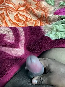 Snapshot of Honeydick7 chatting on February 1, 2026, 6:17 pm Honeydick7 online show from February 1, 2026, 6:17 pm