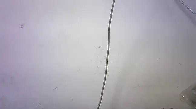 mrose8080 online show from March 6, 2025, 2:08 pm