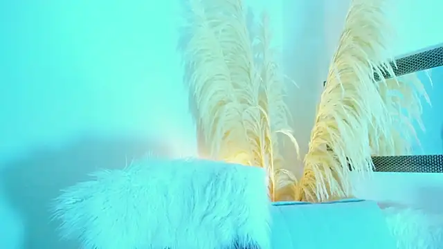 allison 01stone online show from November 16, 2025, 8:02 pm