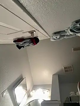 VipSection407 online show from January 13, 2026, 3:49 pm